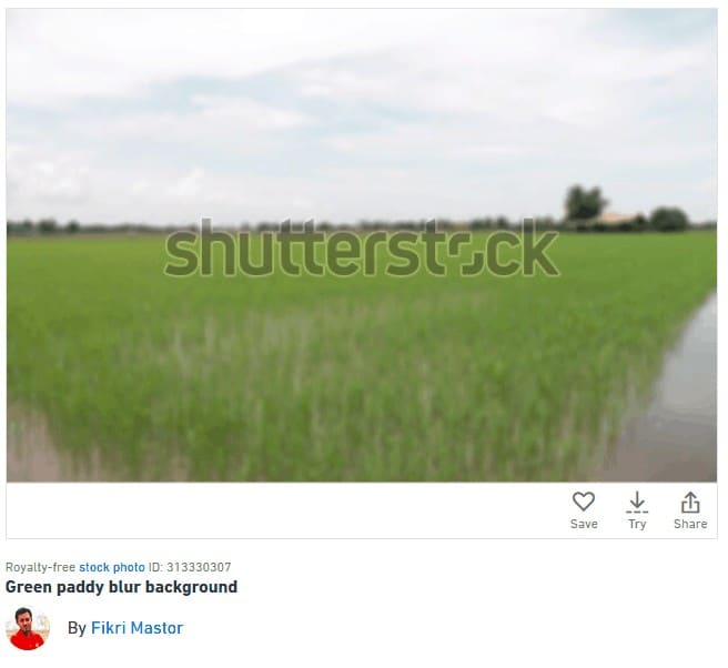 shutterstock buat duit dengan gambar